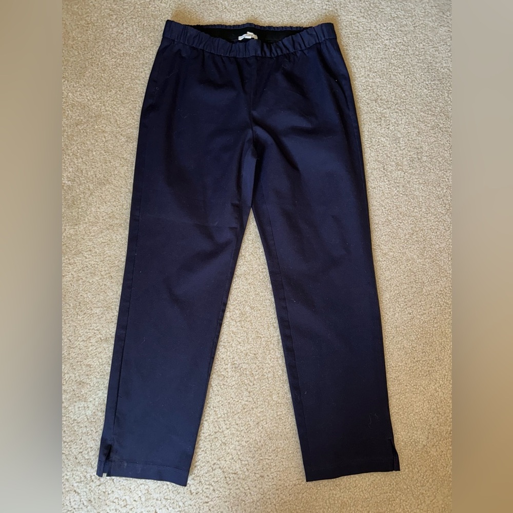 Eileen Fisher Petite Navy Pants
